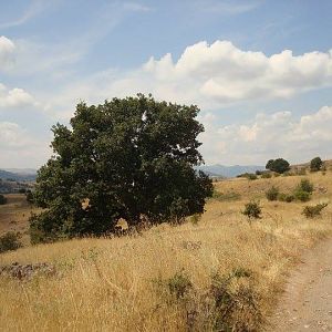 R.Macedonia - extreme south, Mariovo region