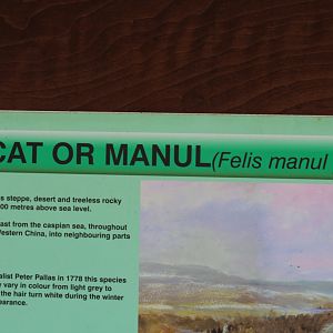 Pallas's Cat Signage