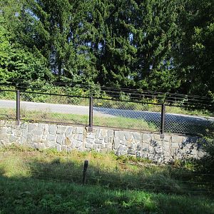 Lion enclosure fence