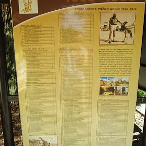 Excellent and informative poster detailing imports from 1965-1983