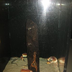 Fiskeri- og Søfartsmuseet - Mixed tank