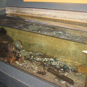 Fiskeri- og Søfartsmuseet - Open coast tank