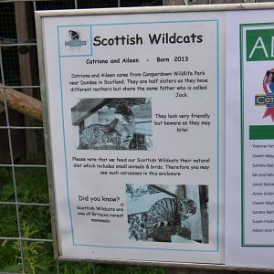 Wildcat Signage