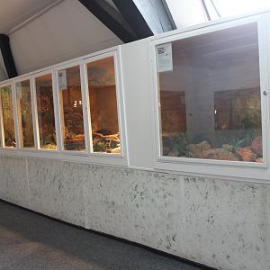 Enclosures smaller lizards - Race runner, Warren's girdled lizard, Skink