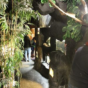 View in the Serpentarium