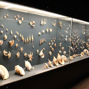 Part Shell-collection