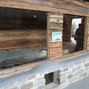 View of Leopard Tortoise enclosure