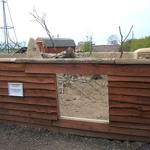 View of Porcupine and Meerkat enclosure