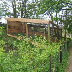 View of Kookaburra Aviary