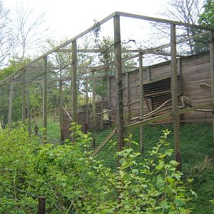 View of European Eagle Owl Aviary