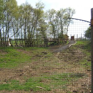 View of nearly finished walk in Lemur enclosure