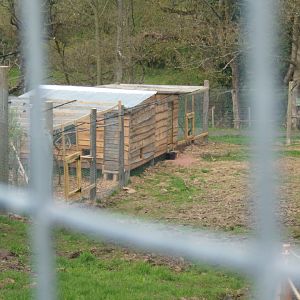 View of nearly finished walk in Lemur enclosure