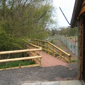 View of nearly finished walk in Lemur enclosure