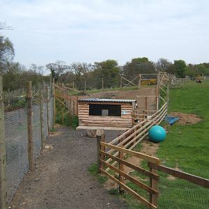 View of Capybara House