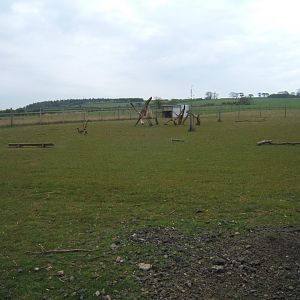 View of deer enclosure
