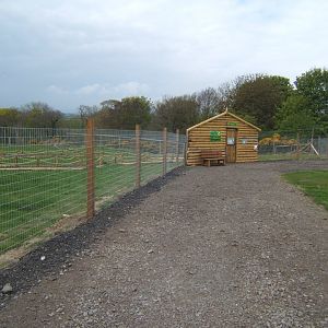 View of Wallaby walk through enclosure