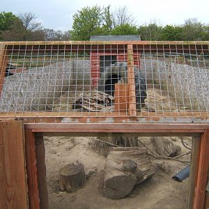 View of old Meerkat enclosure