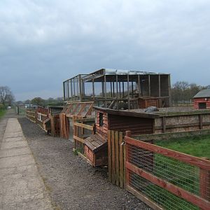 View towards the Raccoon enclosure