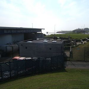30/4/17 View of Common Seal pool from outside the centre