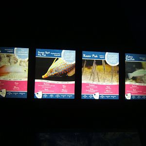 30/4/2017 Signage style