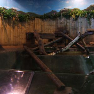 30/4/2017 View of ASCO enclosure