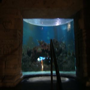 30/4/2017 View of main tank