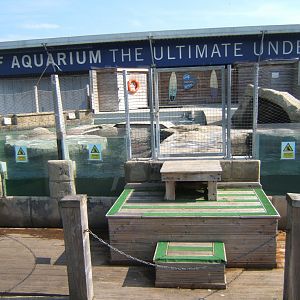 30/4/2017 View of Common Seal Pool