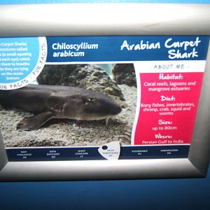 30/4/2017 Signage style