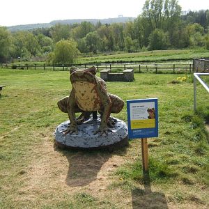 30/4/2017 Fredy the Frog