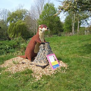 30/4/2017 Lego Otter