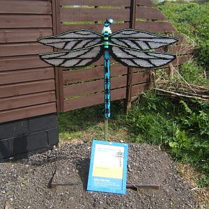 30/4/2017 Lego Dragonfly
