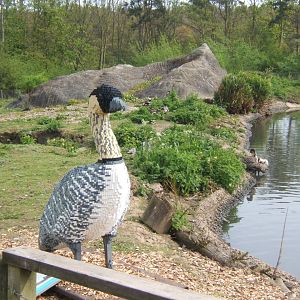 30/4/2017 View of Nene