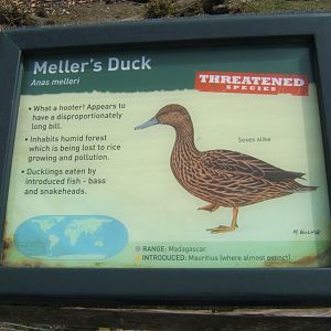 30/4/2017 Signage style