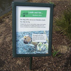 30/4/2017 Info sign