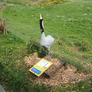 30/4/2017 Lego Common Crane