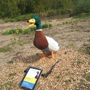 30/4/2017 Lego Mallard