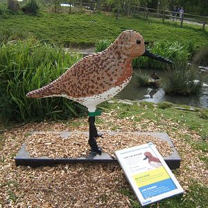 30/4/2017 Lego Spoon-billed Sandpiper