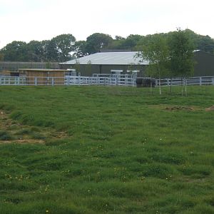1/5/2017 View towards Black Rhino House