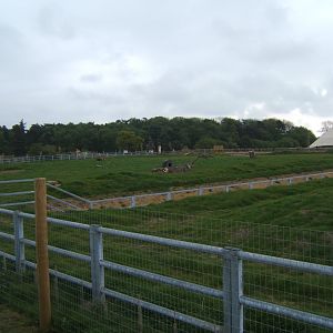 1/5/2017 View of Black Rhino paddock