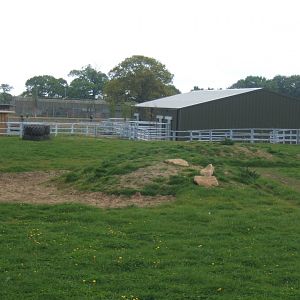 1/5/2017 View of Black Rhino House