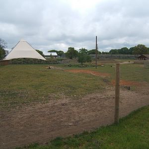 1/5/2017 View of into Africa exhibit