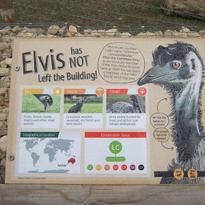 30/4/2017 Signage style