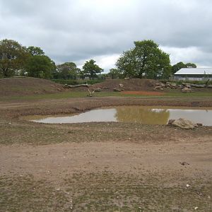 1/5/2017 View of into Africa exhibit