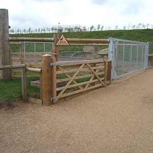 1/5/2017 Giraffe crossing