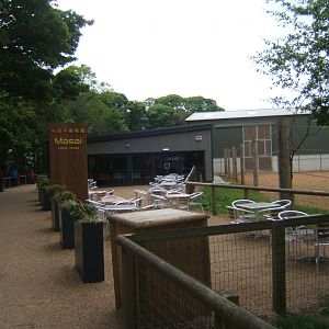 1/5/2017 View of Masai coffee house