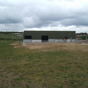 1/5/2017 View of new camel house