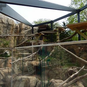 5/17/2017 - Red Panda Exhibit Renovation (Looking to the Left Side)