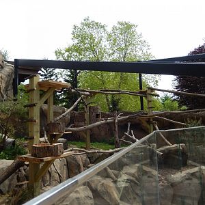5/17/2017 - Red Panda Exhibit Renovation (Looking to the Right Side)