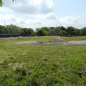 5/17/2017 - Adventure Africa Construction Site