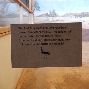 5/17/2017 - Goodbye, kangaroos and emu!